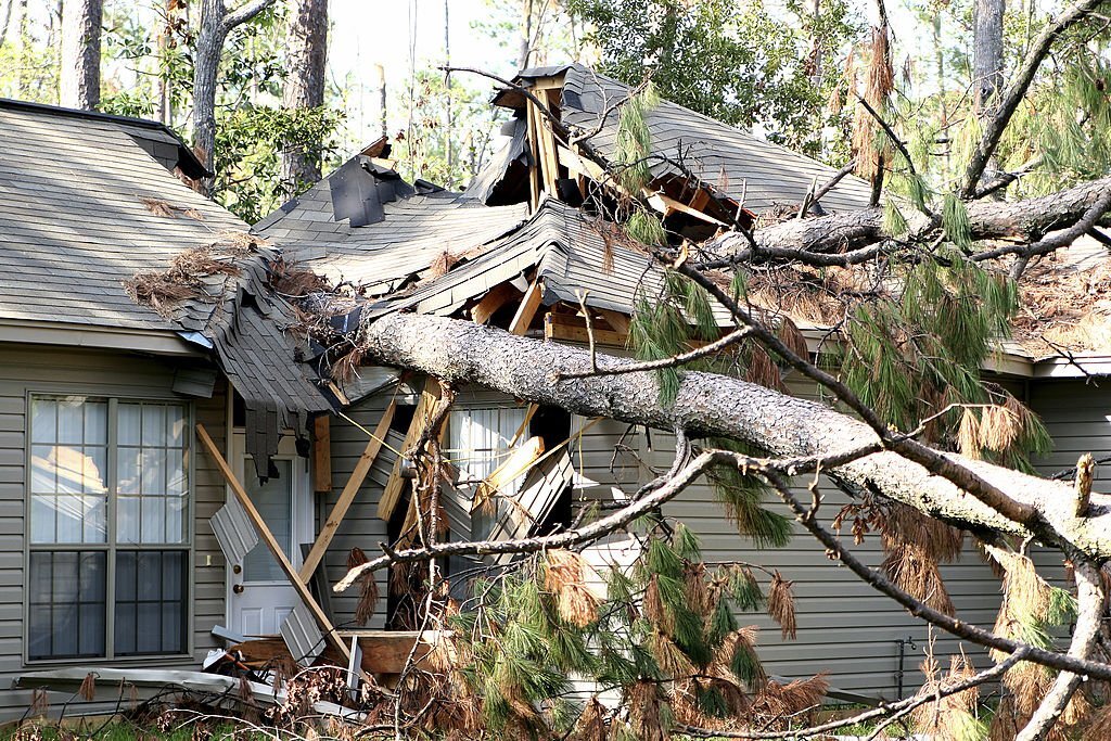 A tree is blown over to hit a house roof